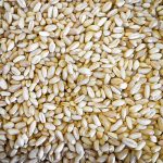 Aşurelik Buğday 1000 g