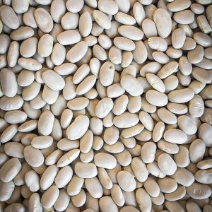 Kuru Fasulye 9m 1000 g