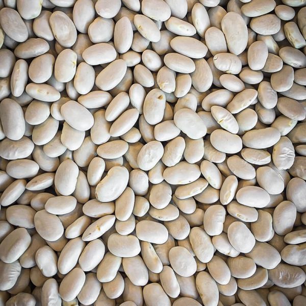 Kuru Fasulye 9m 1000 g