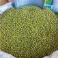 Maş Fasulye 1000 g
