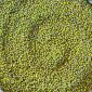 Maş Fasulye 1000 g