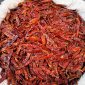 Urfa Atom Biberi 500 g